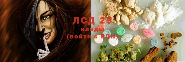 стаф Арсеньев