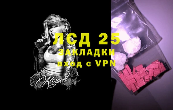 стаф Арсеньев