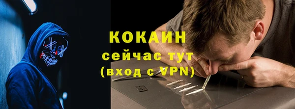 стаф Арсеньев