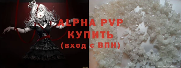 стаф Арсеньев