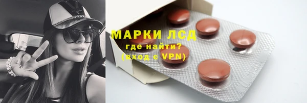 стаф Арсеньев