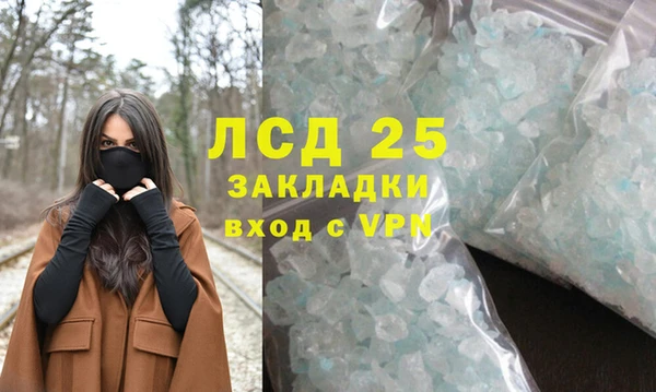 стаф Арсеньев